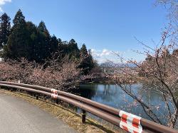 中池を望む絶景